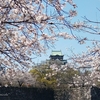 画になる桜と城
