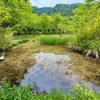 夕やけ小やけふれあいの里の池群（東京都八王子）