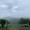 ホッとする日曜日☁️