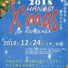 X'mas花火in足利  に行ってきました