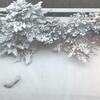 ２０１９年　北海道ツアー　３日目その①