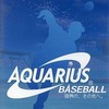 今ＷｉｉのAQUARIUS BASEBALL ～限界の、その先へ～にいい感じでとんでもないことが起こっている？