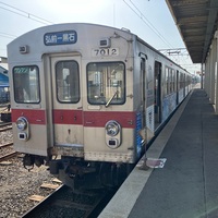 【黒石東公園さくら山】桜咲く弘南鉄道弘南線にフルで乗ってきた【7000系・キ105・ED333形機関車、8620形蒸気機関車】友情出演：JR東日本701系とリゾートしらかみ「くまげら」編成。