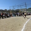 チャレンジ運動会⑲　高学年色別代表者リレー