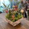 野花