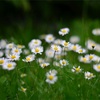 4月21日生まれのあなたへ🥰