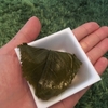 本郷三丁目『喜久月（きくづき）』で文人の和菓子を食す