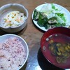 大量の大葉を消費するために　餃子もどき