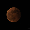 【天体撮影記 第190夜】442年ぶりの皆既月食と惑星食(天王星)の撮影