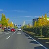 カラーゾーンで紅葉の編集
