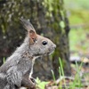 学び直し