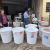 【客家名物】福建省のローカル地酒「糯米酒」を飲んでみよう！味や感想、見つけ方を徹底レポート