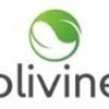 Olivine社