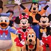 沖縄へのディズニー施設誘致に関するまとめ