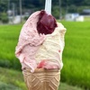 「マルガージェラート 能登本店」で世界一のジェラートを食べる