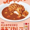 すき家から「炭火焼きほろほろチキンカレー」が新登場！骨付きの大きな炭火焼きチキンをのせた豪快な新商品です
