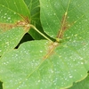 雨のち晴れ・・・。