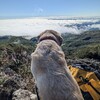 那須岳登山 ～ムッちゃんと一緒に秋の山を満喫～