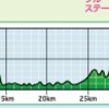 第10回掛川・新茶マラソン（静岡県掛川市）