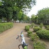 つつじ公園（東京都小平市）