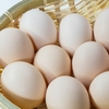 料理の基本：卵の調理方と魅力