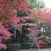 偕楽園公園　もみじ谷の紅葉