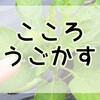 こころ動かす声と文章と…