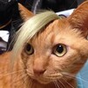 線香の香りがする