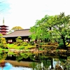 👼🐉新緑の【伝法院】光景❣❣