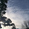 ウロコ雲が