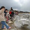 元気でね白鳥さん　地元園児がお別れ　伊豆沼・内沼