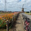 手賀沼サイクリングロード〜印旛沼サイクリングロード