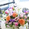 DAILY  FLOWERS  !!