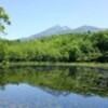 久しぶりの青空