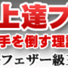 ボクシング上達プログラム～テクニックで相手を倒す理論的練習法～【OPBF東洋太平洋スーパーフェザー級王座　三谷大和　監修】DVD2枚組