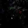 路傍の風景・・＃174