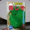 昨年の大葉との別れ