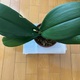 2025/06/29　記録