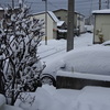 秋田での雪