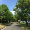 金岡公園