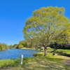御所沼と古河公方公園の池群（茨城県古河）