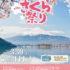30日(土)から河口湖で富士・河口湖さくら祭り開催予定