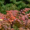 秋田県須川温泉「栗駒山荘」