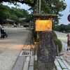 【ホタル】蛍を初めて生で見た