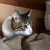 おはよ
