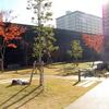 フォレストガーデンの紅葉