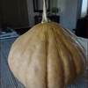 ハロウィンランタンの作り方