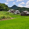 歩こう会・高仙山城址〜ブルーベリー園 　Ⅰ