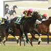 競馬初心者必見☆馬券予想🔥〜クイーンC〜次世代のクイーンを探せ！