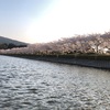 04.09 東山湖